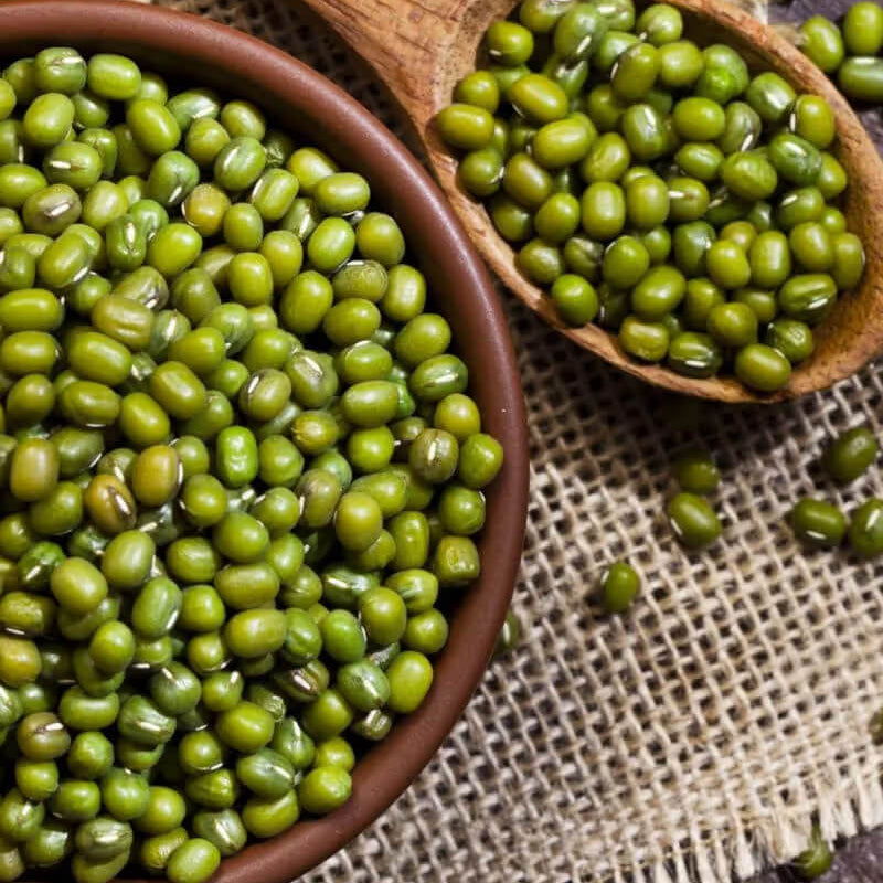 Mung Bean Seeds - Vegetable