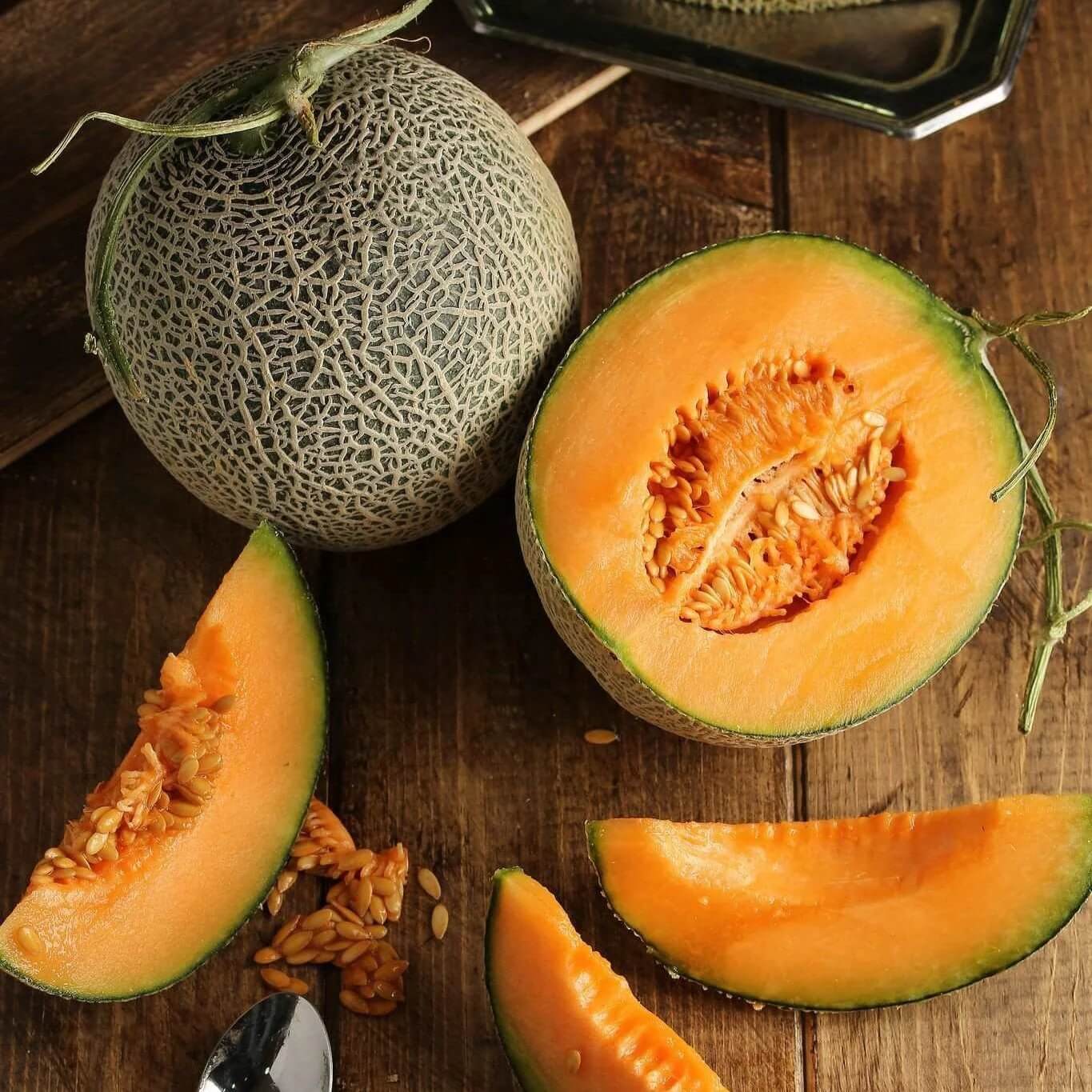 Musk Melon Seeds