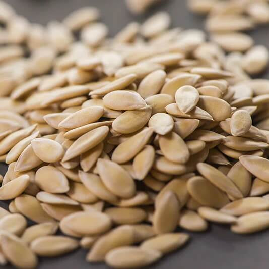 Musk Melon Seeds