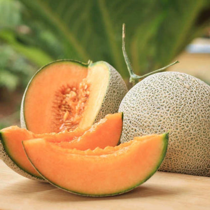 Musk Melon Seeds