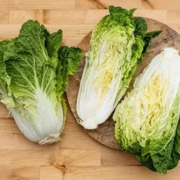 Napa Cabbage seeds - Vegetable Plant