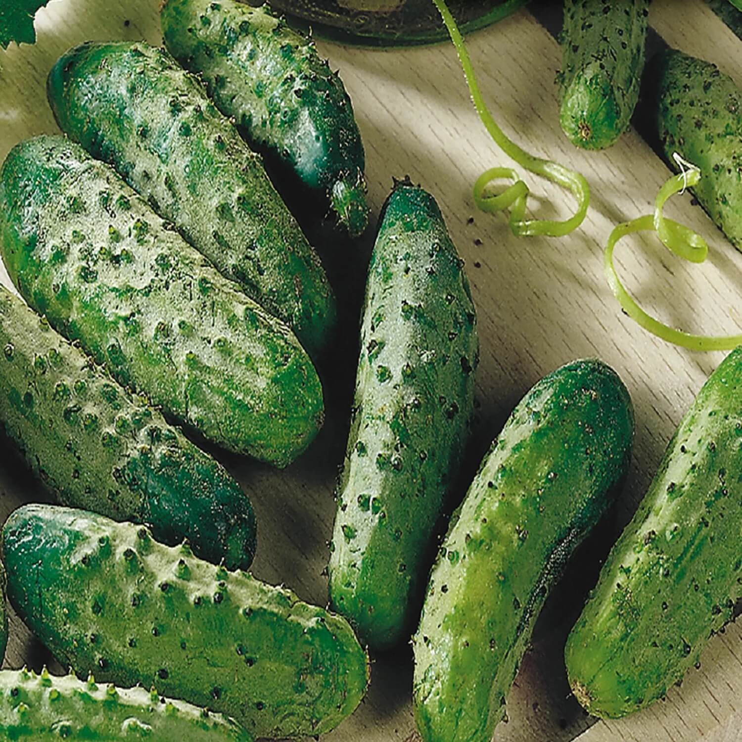 National pickling cucumber seeds - Vegetable Plant