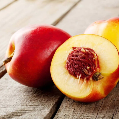 Nectarine Seeds - Fruit Plant for Home Gardens