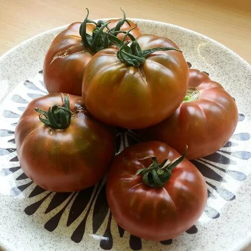 Nut Brown Tomato Seeds