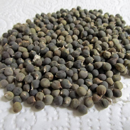 Okra Seeds