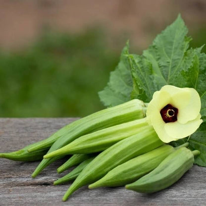 Okra seeds - Vegetable Plant