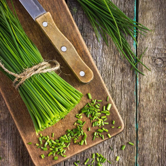 Onion Chives Seeds - Herbal Plant