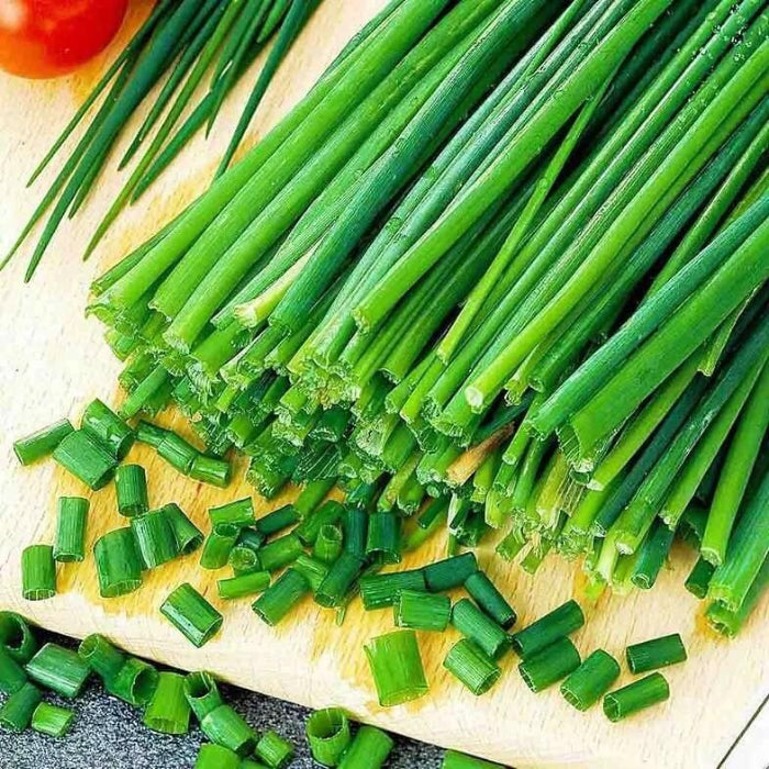 Onion Chives Seeds - Herbal Plant