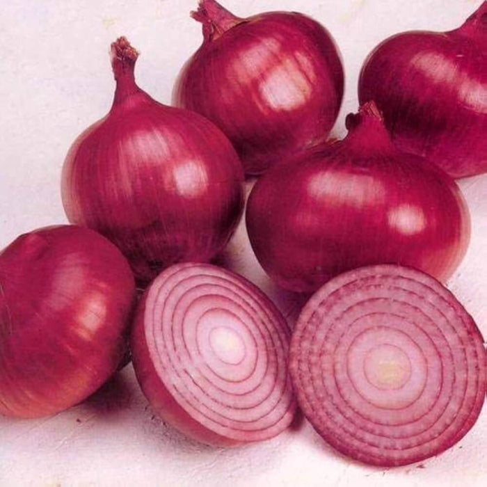 Onion seeds - Vegetable Plant