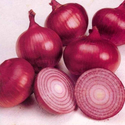 Onion seeds - Vegetable Plant