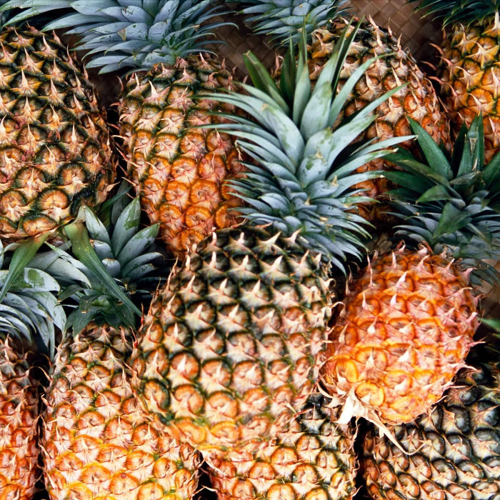 Orange-Green Pineapple Seeds
