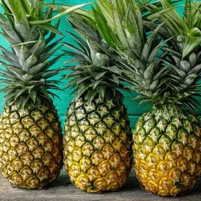 Orange-Green Pineapple Seeds
