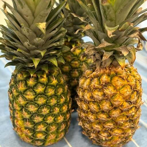 Orange-Green Pineapple Seeds