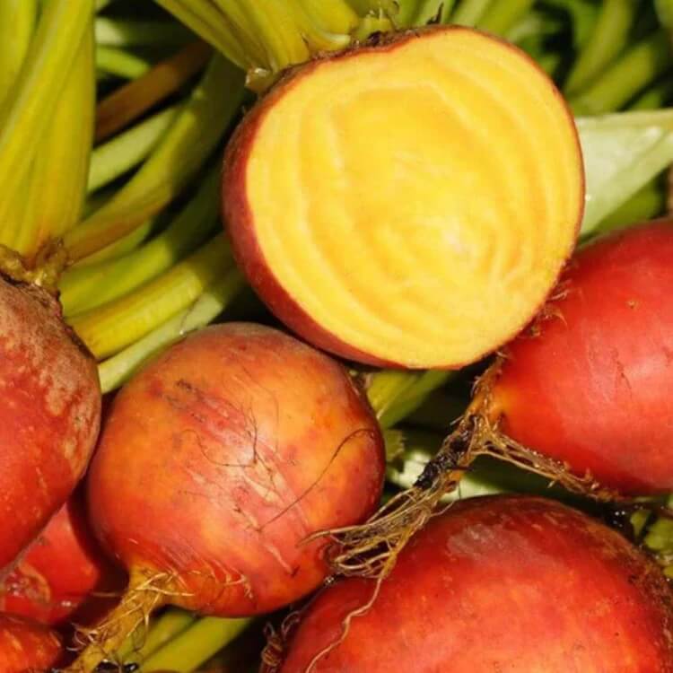 Orange Beet Seeds 