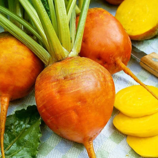 Orange Beet Seeds 