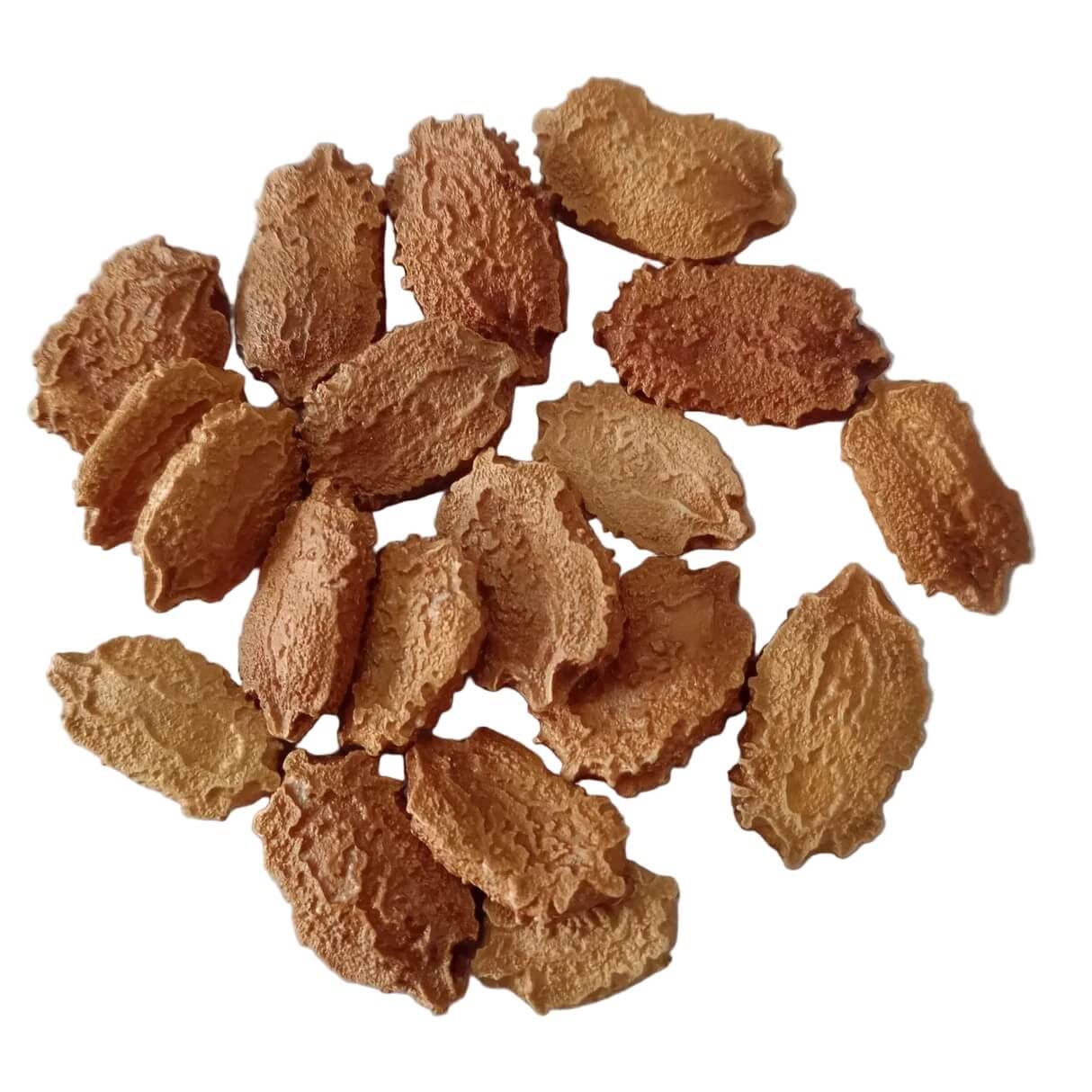 Orange Bitter Gourd Seeds