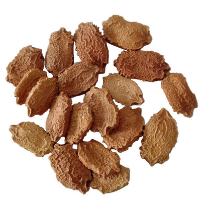 Orange Bitter Gourd Seeds