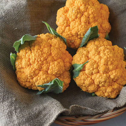 Orange Cauliflower Seeds - Heirloom Vegetable Plant for Home Gardens