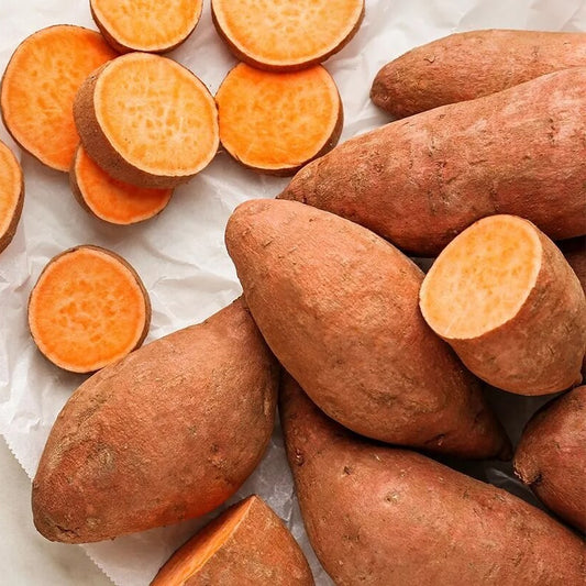 Orange Flesh Yacon Seeds