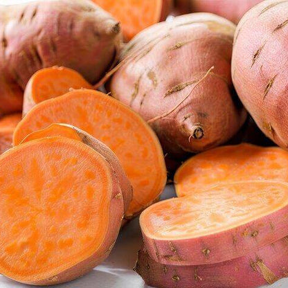 Orange Flesh Yacon Seeds