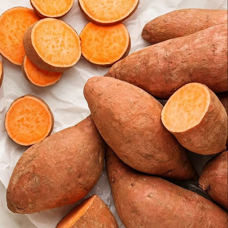 Orange Flesh Yacon Seeds
