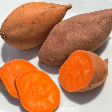 Orange Flesh Yacon Seeds