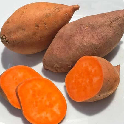 Orange Flesh Yacon Seeds