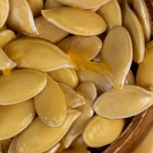 Orange Giant Pumpkin Seeds