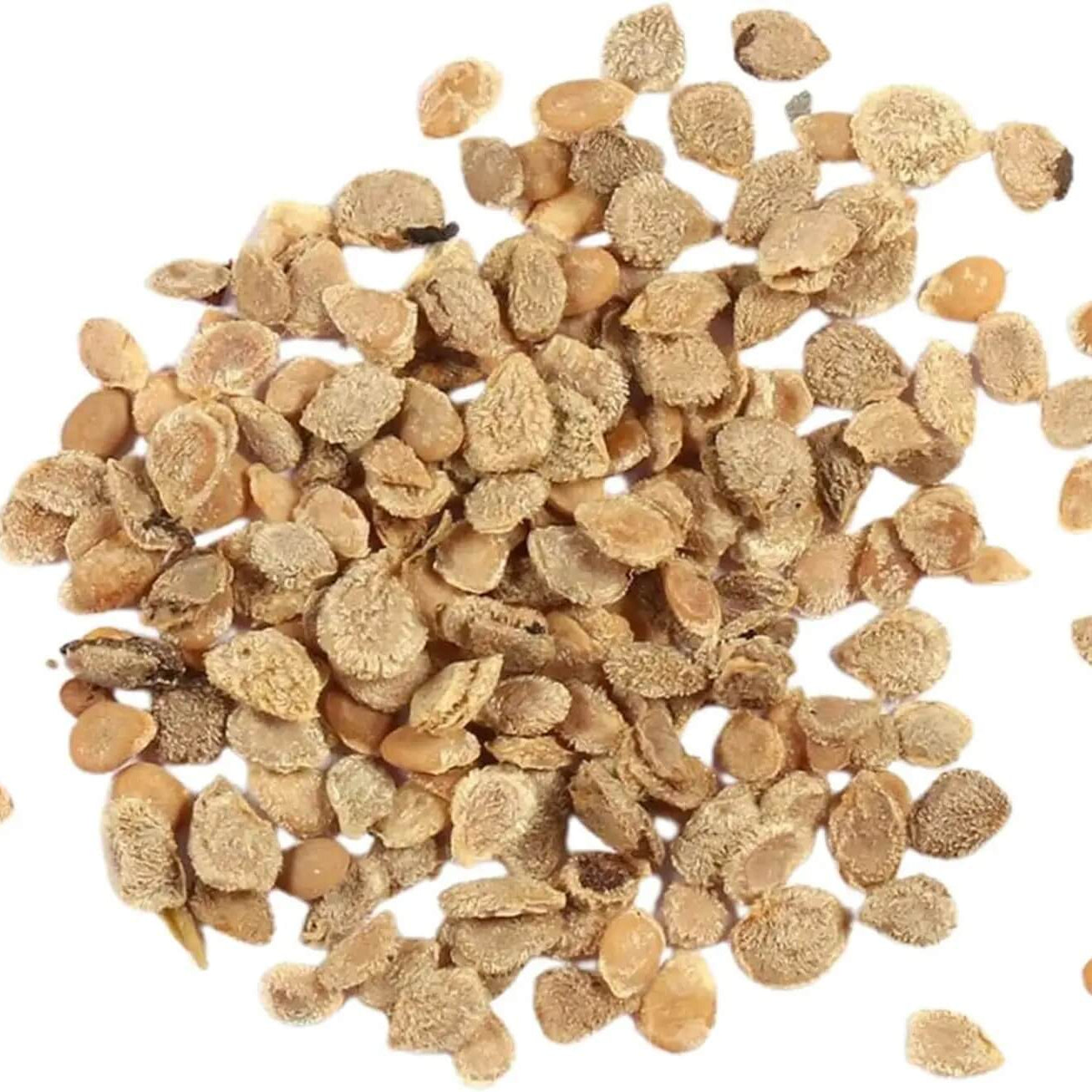 Orange Green Tomato Seeds