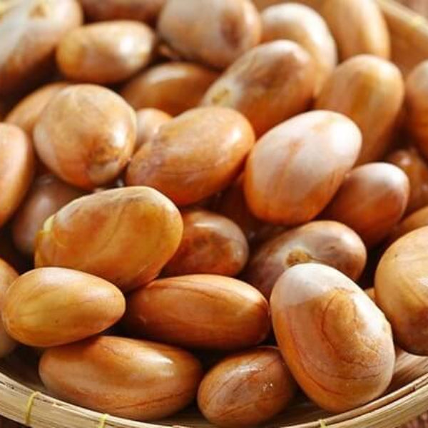 Orange Jackfruit Seeds