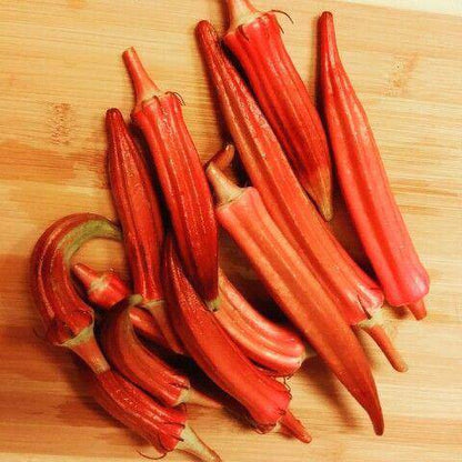 Orange Okra Seeds