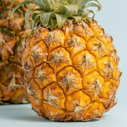 Orange Pineapple Seeds 