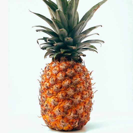 Orange Pineapple Seeds 