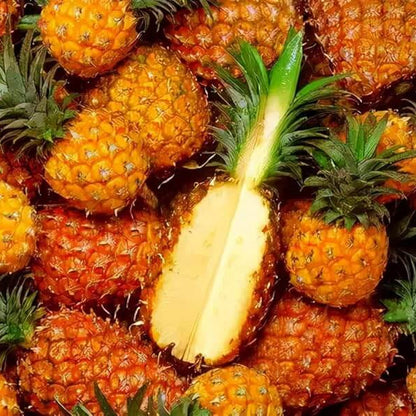 Orange Pineapple Seeds 