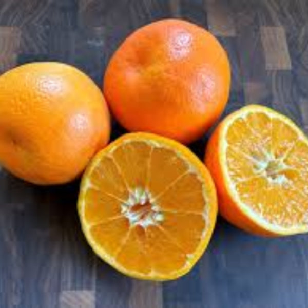  Orange Seeds - Fruit Plant