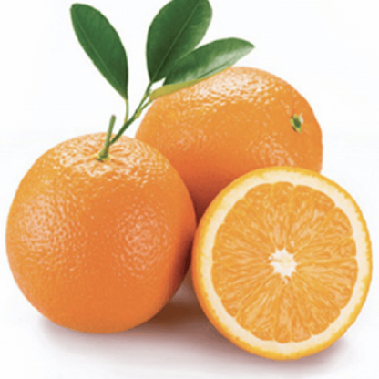  Orange Seeds - Fruit Plant