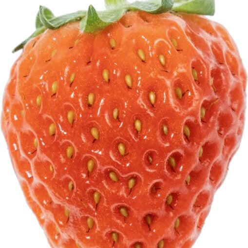 Orange Strawberry Seeds