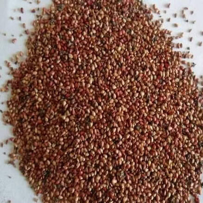 Orange Strawberry Seeds