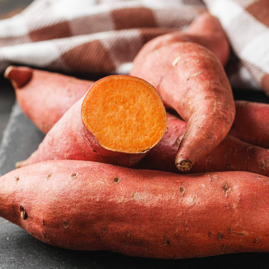 Orange Sweet Potato Seeds