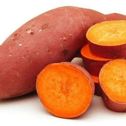 Orange Sweet Potato Seeds
