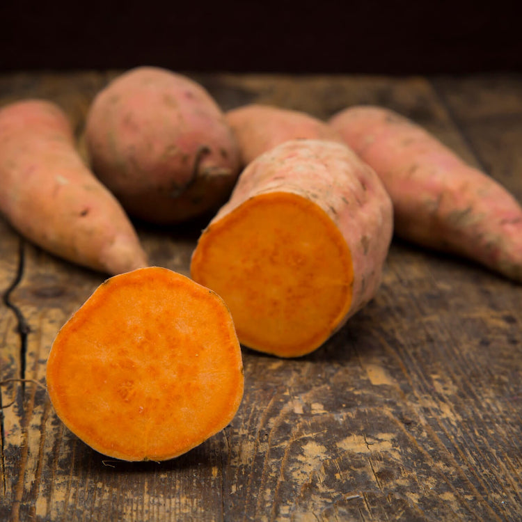 Orange Sweet Potato Seeds