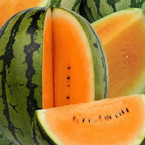 Orange Watermelon Seeds
