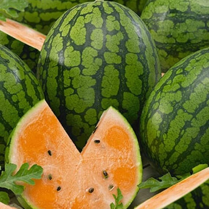 Orange Watermelon Seeds