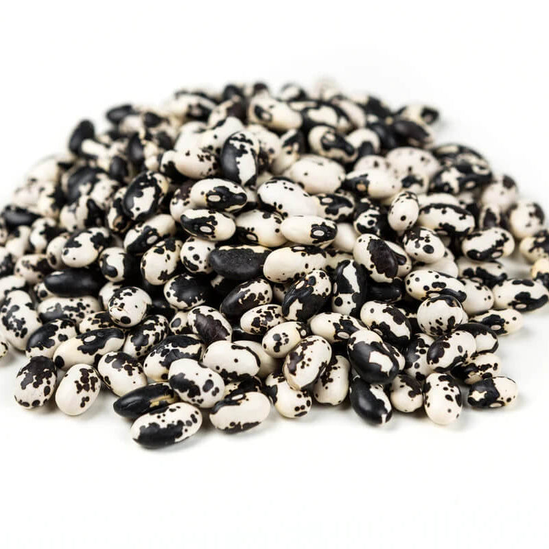 Orca Bean Seeds
