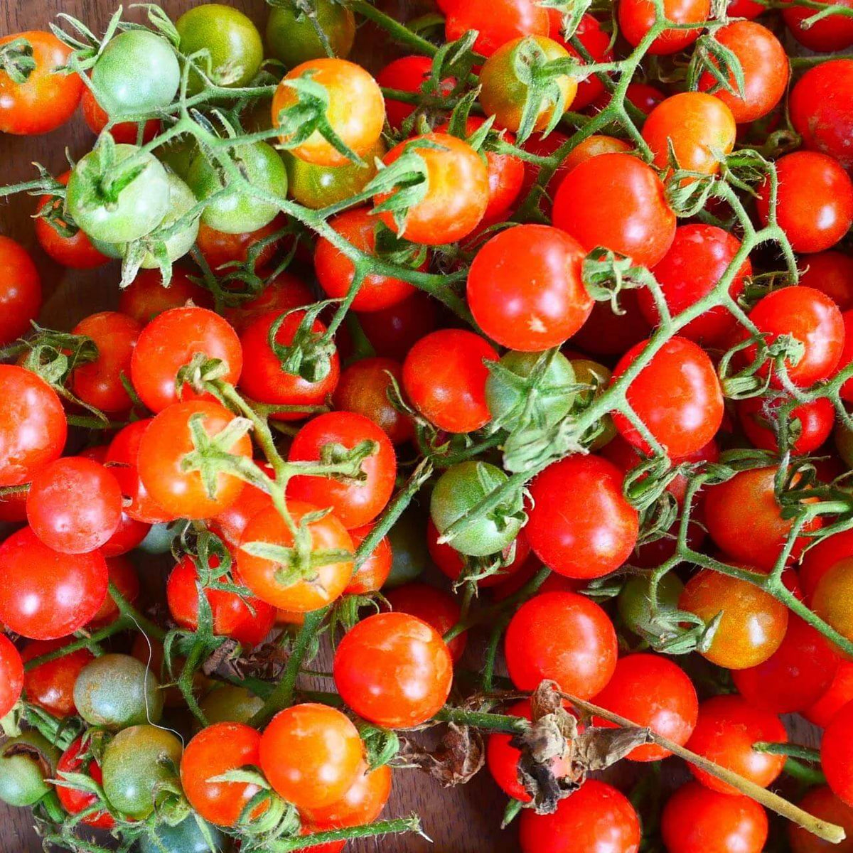 Matt's Wild Cherry Tomato Seeds - Heirloom Vegetable Plant for Home Gardens