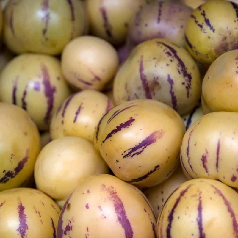 Organic Pepino Melon Seeds