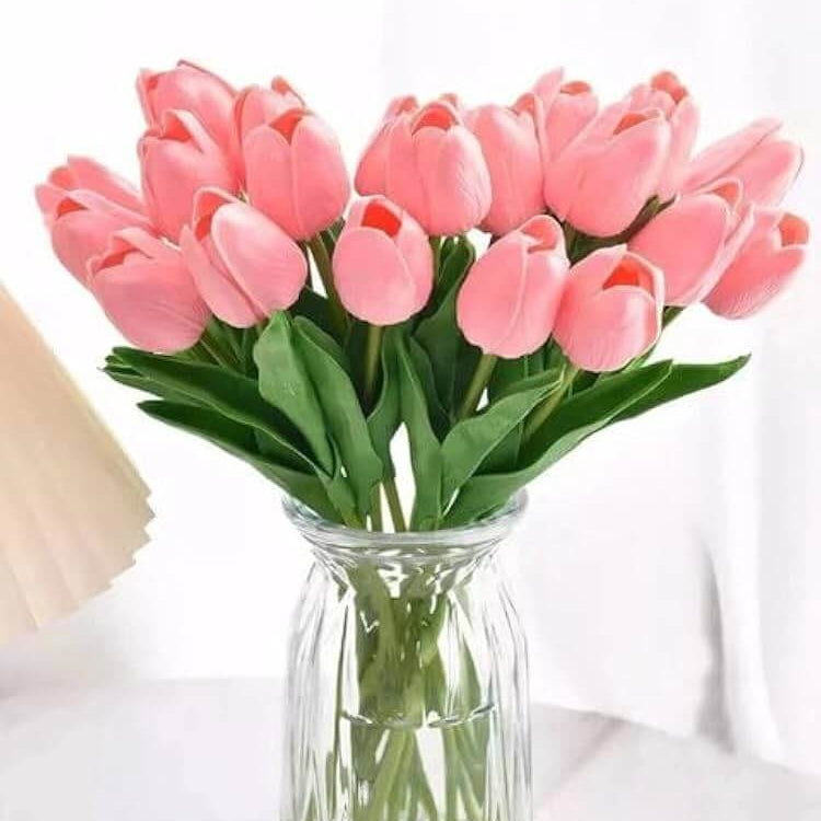 Ornamental Tulip Seeds