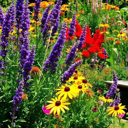 Ornamental flowers seeds - All in one for home gardens