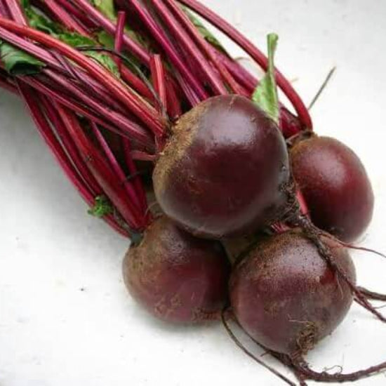 Pablo Beet Seeds 