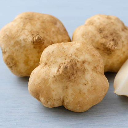 Pachyrhizus Erosus Seeds